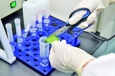 विश्वासार्ह बॅक्टेरियाची ओळख बॅबिओच्या ग्राम स्टेन किटसह सोपी केली