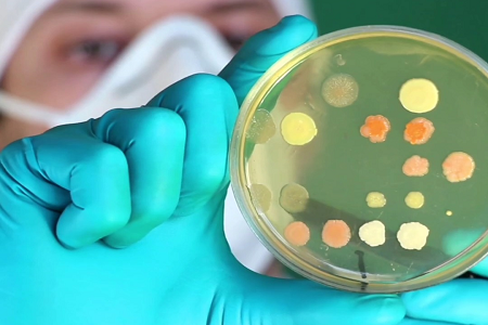 BABIO ने ग्लोबल क्लिनिकल आणि लॅब मायक्रोबायोलॉजीसाठी प्रीमियम ट्रिप्टिकेस सोया ब्रॉथ (TSB) लाँच केले