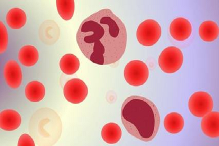 BABIO ने जागतिक बाजारपेठेसाठी HBcAb Hepatitis B Core Ab Rapid Test लाँच केली